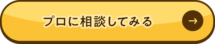 プロに相談してみる