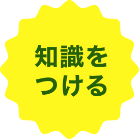 知識をつける