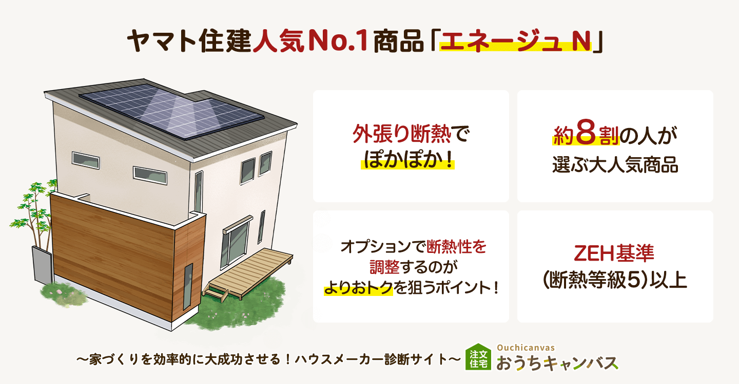 人気沸騰中！エネージュNって？