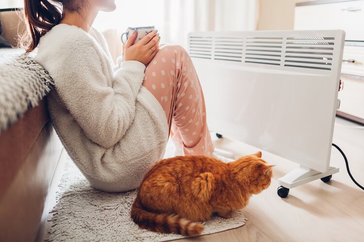 女性と猫